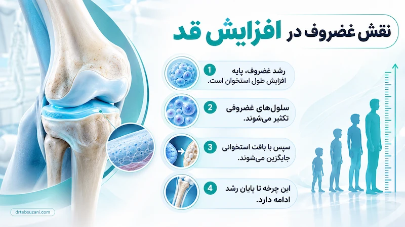 افزایش قد با غضروف سازی امکان پذیر است؟
