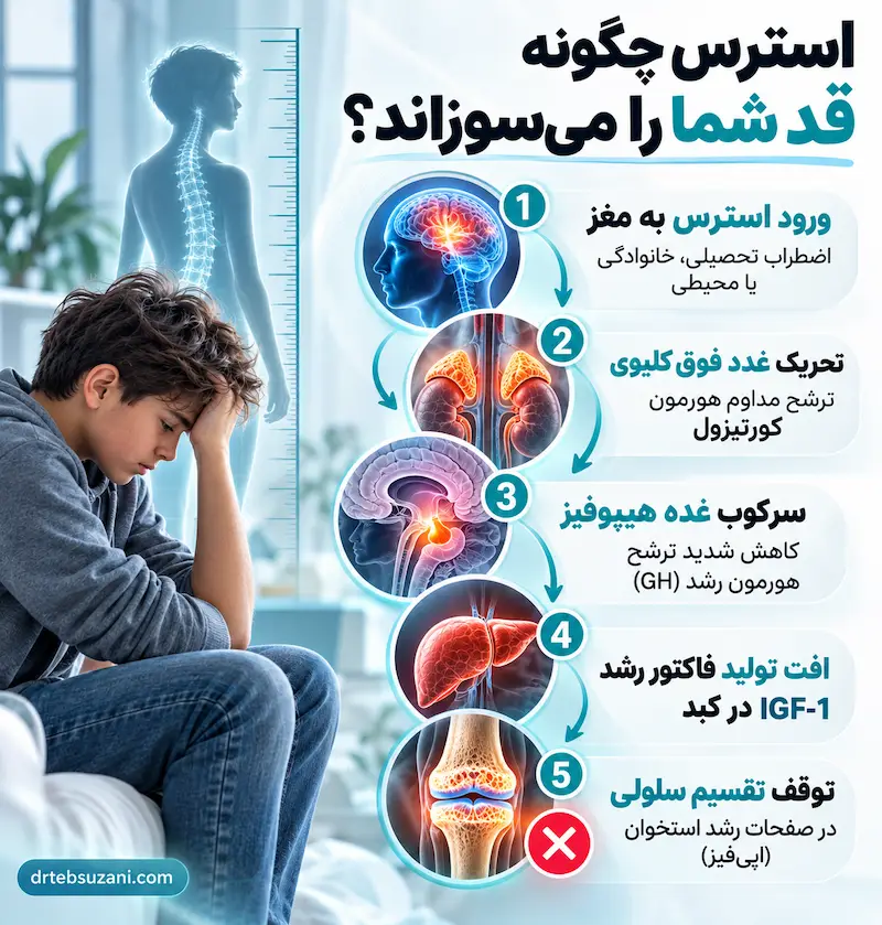 تاثیر استرس بر افزایش قد کودکان و نوجوانان